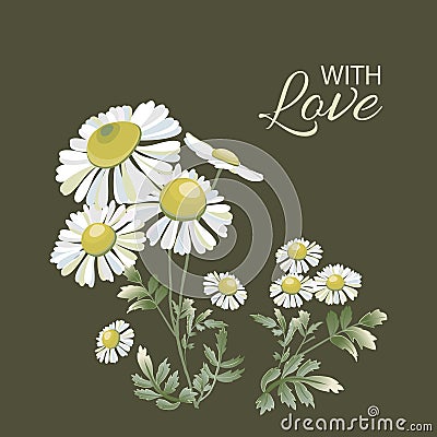 Greeting card with bouquet of daisies on dark. Chamomiles flower Vector Illustration