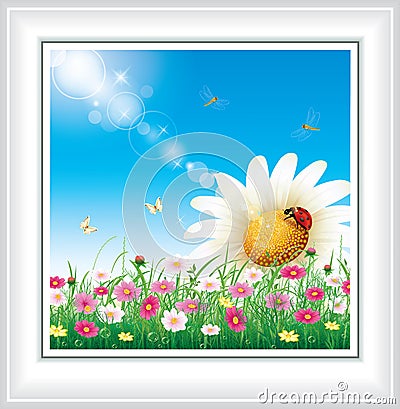 Greeting card with daisies Vector Illustration
