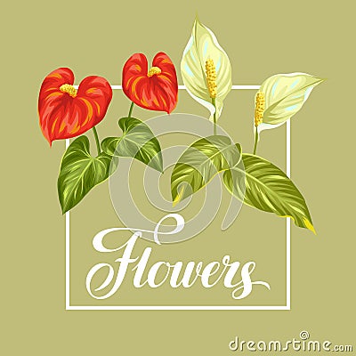 Greeting card with flowers spathiphyllum and anthurium Vector Illustration