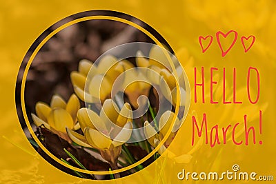Greeting card hello march Welcome card the beginning of spring Stock Photo