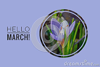 Greeting card hello march Welcome card the beginning of spring Stock Photo