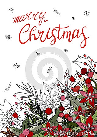 Greeting card Merry Christmas with poinsettia. Vector Illustration