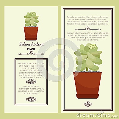 Greeting card with sedum hintonii plant Vector Illustration