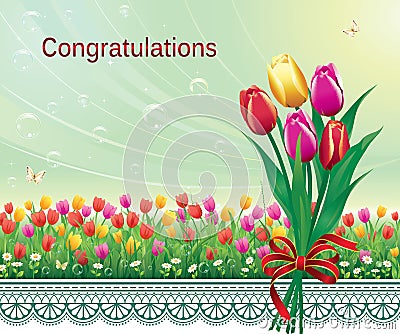 Greeting card with tulips and chamomile Vector Illustration