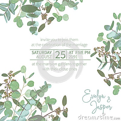 Greeting festive flyer, holiday card, vector. Elegant floral, greenery, asymmetric collection. Bouquet of eucalyptus spiral, Vector Illustration