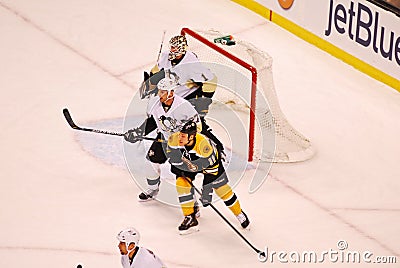 Gregory Campbell Boston Bruins Editorial Stock Photo