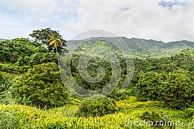 Grenadian landscape, Caribbean Stock Photo