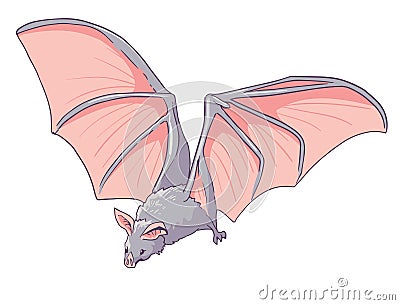 Grey bat fliying and hunting Stock Photo