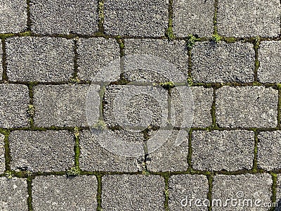 Grey Brick Wall with Green Moss Stock Photo