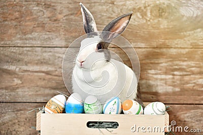 Grey bunny rabbit looking frontward to viewer, Little bunny sitting on wooden box with her toys. Stock Photo