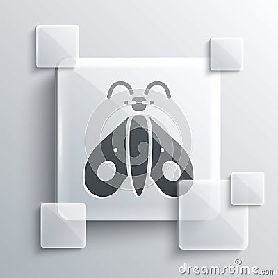 Grey Butterfly icon isolated on grey background. Square glass panels. Vector Vector Illustration