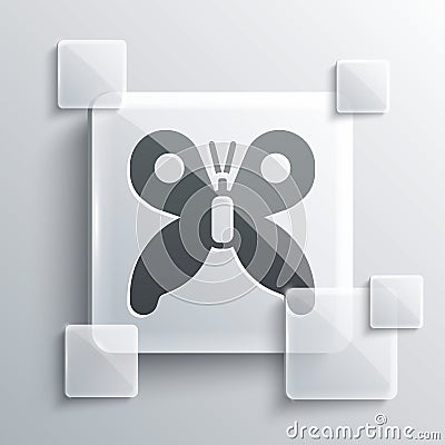 Grey Butterfly icon isolated on grey background. Square glass panels. Vector Vector Illustration