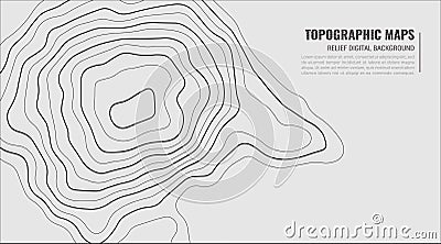 Grey Contours Vector Topography. Vector Illustration