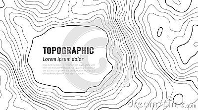 Grey Contours Vector Topography. Vector Illustration