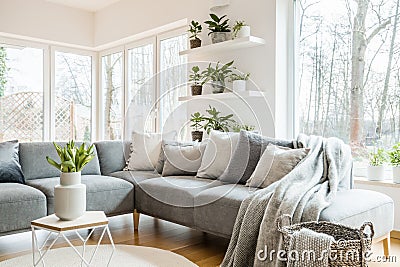 Grey corner couch with pillows and blankets in white living room Stock Photo