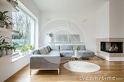 Grey corner lounge standing in white living room interior with two modern art paintings on the shelf, fireplace and tulips on smal Stock Photo