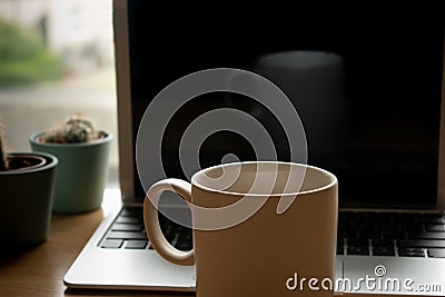 Grey cup with its own reflection in a computer screen and a cactus at the side Stock Photo