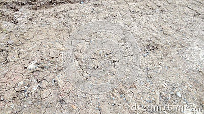 Grey dried soil with tire track Stock Photo