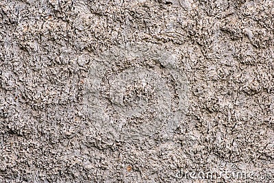 Grey grunge textured wall. large particles strokes Stock Photo