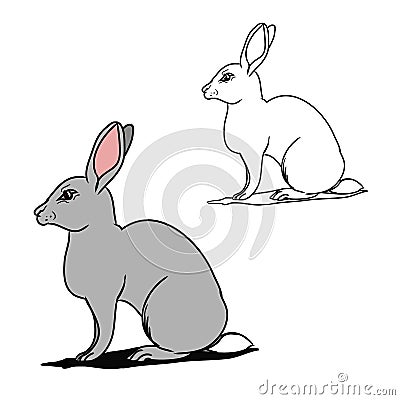 Grey hare (contours) Vector Illustration