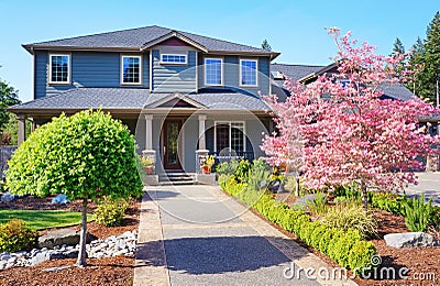 Grey luxury house with spring pink trees. Stock Photo