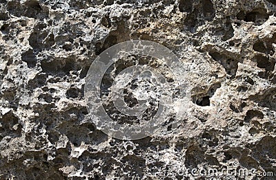 Grey natural stone texture photo background. Volcanic stone texture. Rocky seaside. Stock Photo