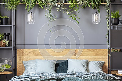 Grey pillows on bed with wooden headboard in bedroom interior wi Stock Photo