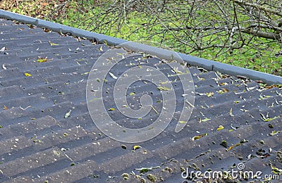 Grey rooftiles on a 20 year old building Stock Photo