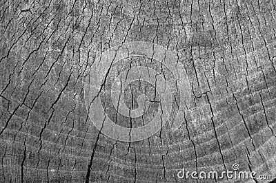 Grey scale wood texture with cracks Stock Photo