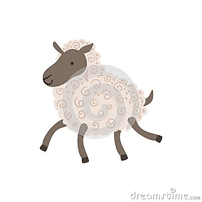 Grey Sheep With White Wool Walking Vector Illustration