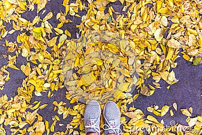 Grey shoes in the autumn leaves. Top view. Stock Photo