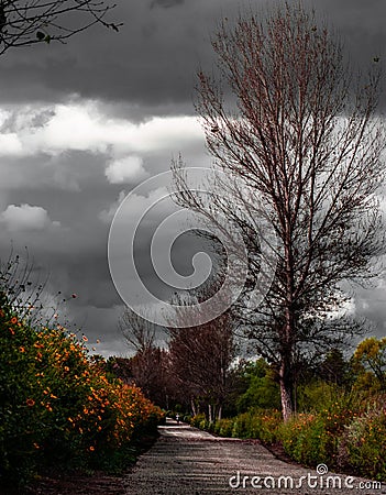 Grey skies hit the trail Stock Photo