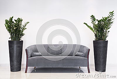 Grey sofa in modern interior Stock Photo