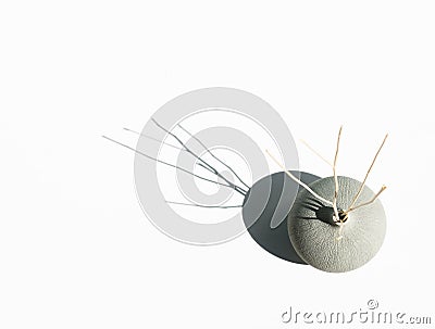 Grey vase with dry wooden aroma sticks on white background. Spa, aromatherapy, interior decor concept Stock Photo