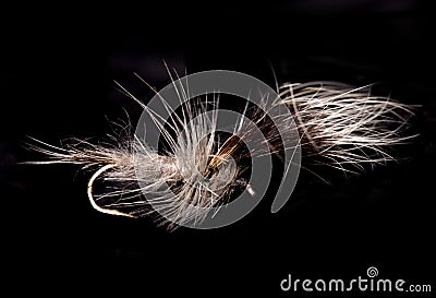 Grey wulff fishing fly Stock Photo