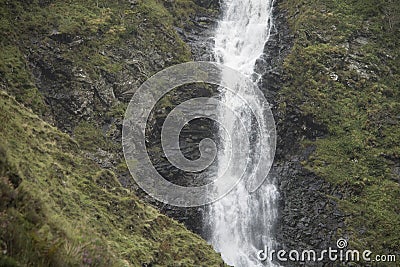 The Greymares Tail Stock Photo