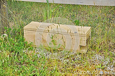 Predator trap at the Bois Gentil Kiwi CrÃ¨che, New Zeland Editorial Stock Photo