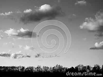 Greyscale horizontal shot of a lot of bare trees under the beautiful cloudy sky Stock Photo
