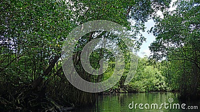 gri gri lagoon Stock Photo