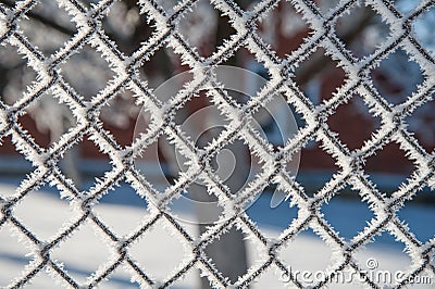 Grid covered with snow, mesh covered with frostÐ­, Stock Photo