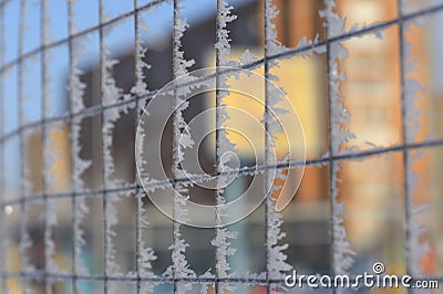 Grid enclosing the sports ground in hoarfrost and snow. Russian winter 2018. Stock Photo