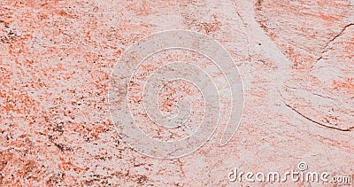 Grid pattern background image various colors Stock Photo