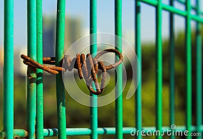 Green pattern of fence. grids Stock Photo