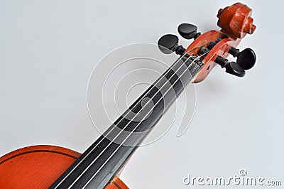 Grif violin. Stock Photo