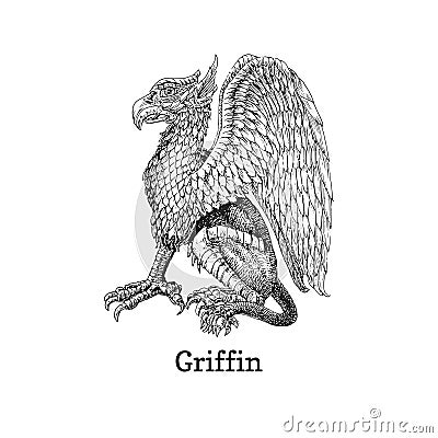 Griffin, vector drawing, drawn sketch of Gryphon Cartoon Illustration