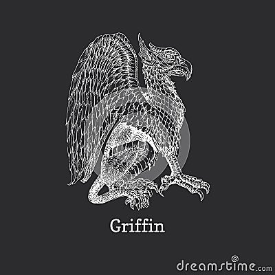 Griffin, vector drawing, drawn sketch of Gryphon Cartoon Illustration