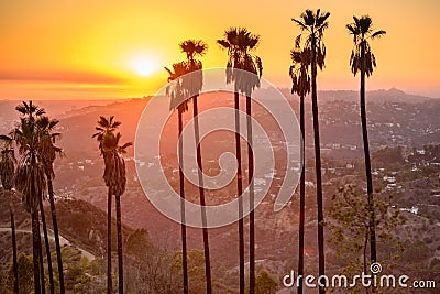 Griffith Park Stock Photo