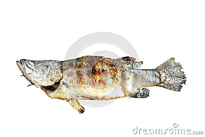 Grilled bass fish wrapping salt stuffing herb on white background Stock Photo