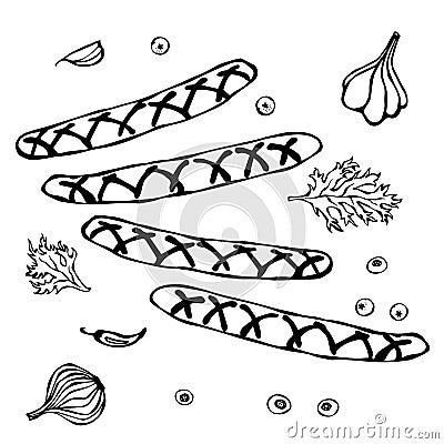 Grilled Bavarian or American Sausages with Chili Pepper, Onion, Garlic, Parsley and Berries. Doodle Style Sketch. Vector Illustrat Stock Photo