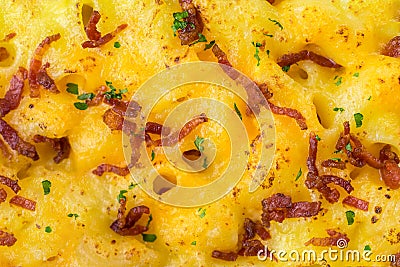 Grilled becon and cheese texture. Stock Photo